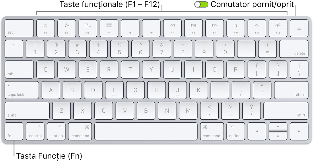 Magic Keyboard prezentând tasta Funcție (Fn) din colțul din stânga jos și comutatorul de pornire/oprire din colțul din dreapta sus al tastaturii.