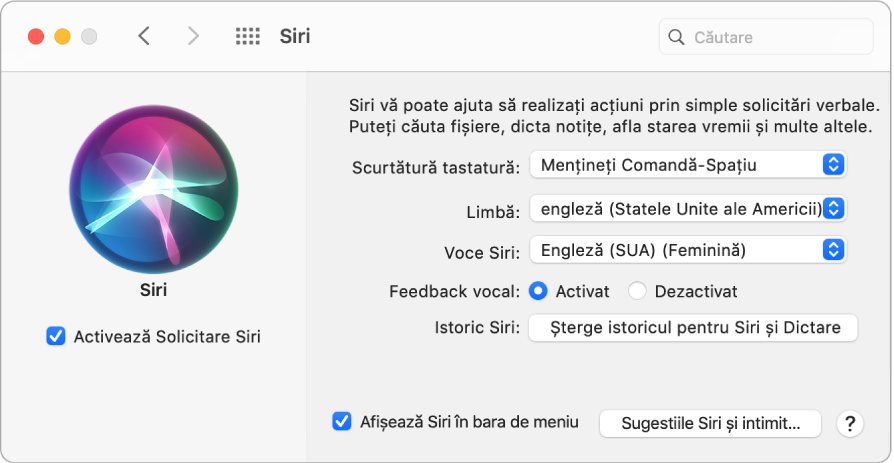 Fereastra de preferințe pentru Siri, având selectată opțiunea Activează Solicitare Siri în stânga și câteva opțiuni pentru personalizarea Siri în dreapta.