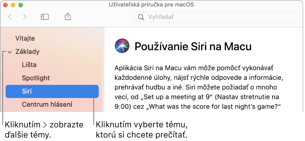 Prehliadač Pomocníka znázorňujúci spôsob zobrazenia tém z postranného panela a spôsob zobrazenia obsahu témy.