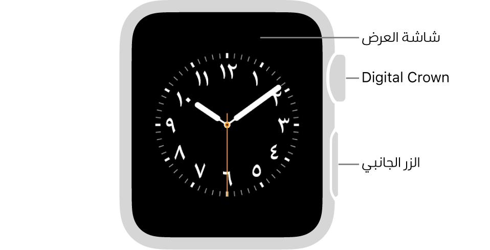 الجزء الأمامي من Apple Watch Series 3 وتظهر به شاشة العرض التي تعرض واجهة الساعة و Digital Crown والزر الجانبي على جانب الساعة.