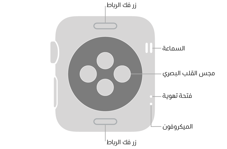 الجزء الخلفي من Apple Watch Series 3 ويظهر به زرا تحرير الرباط في الأعلى والأسفل ومجس القلب الكهربائي في المنتصف وفتحات السماعة والتهوية والمكيروفون من أعلى إلى أسفل بالقرب من الجانب.