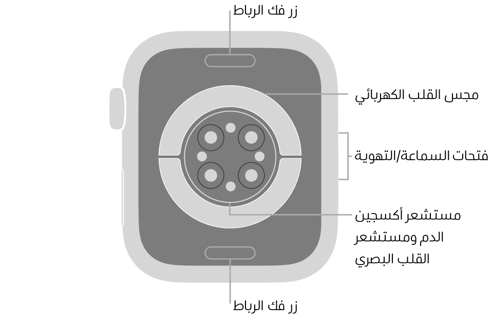 الجزء الخلفي من Apple Watch Series 6 ويظهر به زرا تحرير الرباط في الأعلى والأسفل ومجس القلب الكهربائي ومستشعر القلب البصري ومستشعر أكسجين الدم وفتحات السماعة/التهوية على الجانب.