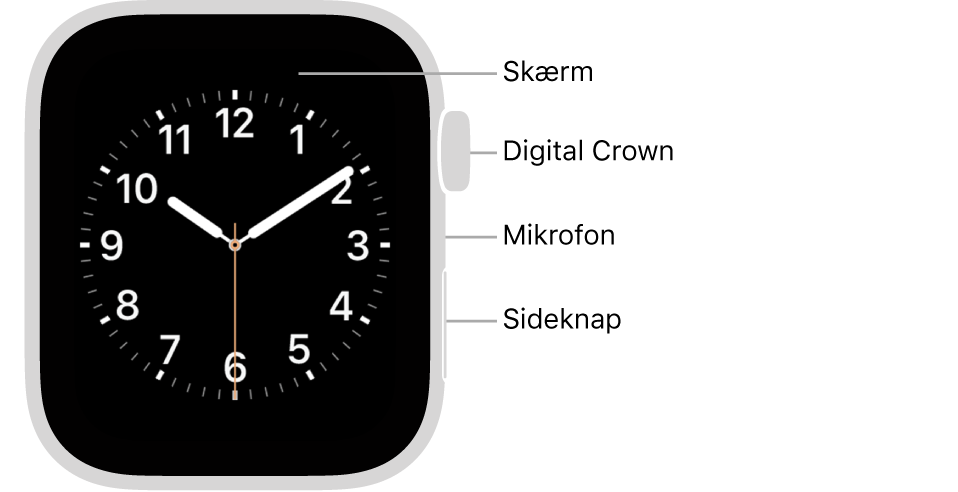 Forsiden af Apple Watch Series 6, hvor skærmen viser urskiven og Digital Crown, mikrofonen og sideknappen fra top til bund på siden af uret.