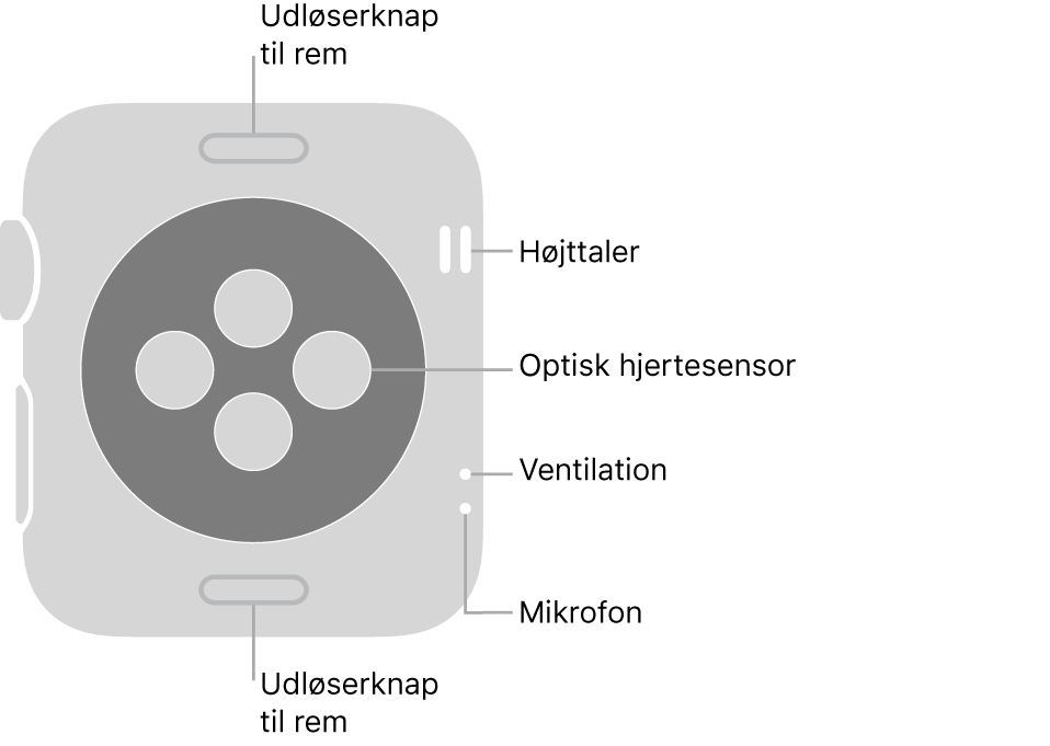 Bagsiden af Apple Watch Series 3, med udløserknapperne foroven og forneden, de optiske pulsmålere i midten og højttaleren/ventilationshullerne og mikrofonen fra top til bund ude ved siden.