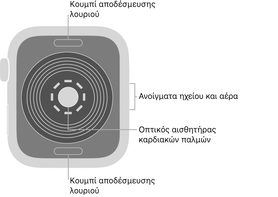 Το πίσω μέρος του Apple Watch SE, με τα κουμπιά αποδέσμευσης του λουριού στο πάνω και κάτω μέρος, τον οπτικό αισθητήρα καρδιάς στο μέσο, και το ηχείο και τα ανοίγματα εξαερισμού στο πλάι.