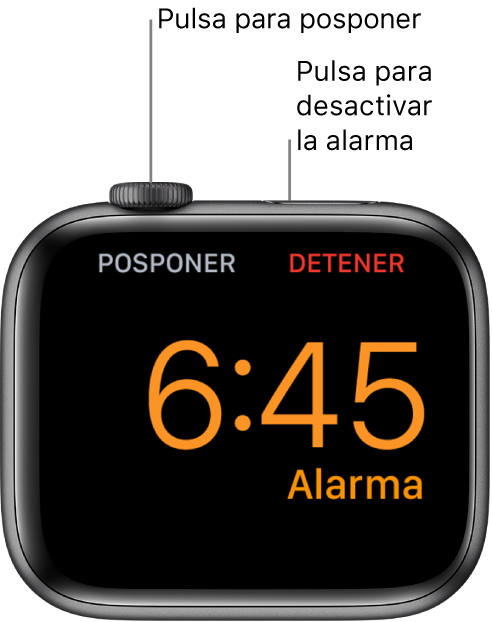 Un Apple Watch colocado de lado, con la pantalla que muestra una alarma que está sonando. Debajo de la corona Digital Crown se ve la palabra Posponer. Debajo del botón lateral se ve la palabra Detener.