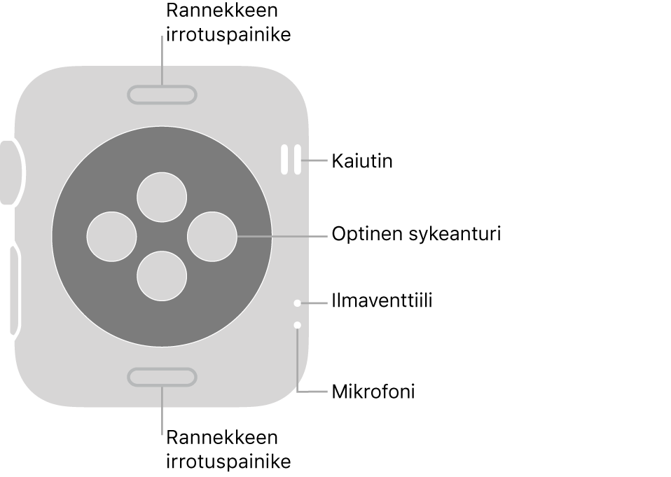 Apple Watch Series 3:n tausta, jossa on rannekkeen irrouspainikkeet ylhäällä ja alhaalla, optiset sykeanturit keskellä sekä kaiutin, ilmastointiaukko ja mikrofoni ylhäältä alas lähellä sivua.