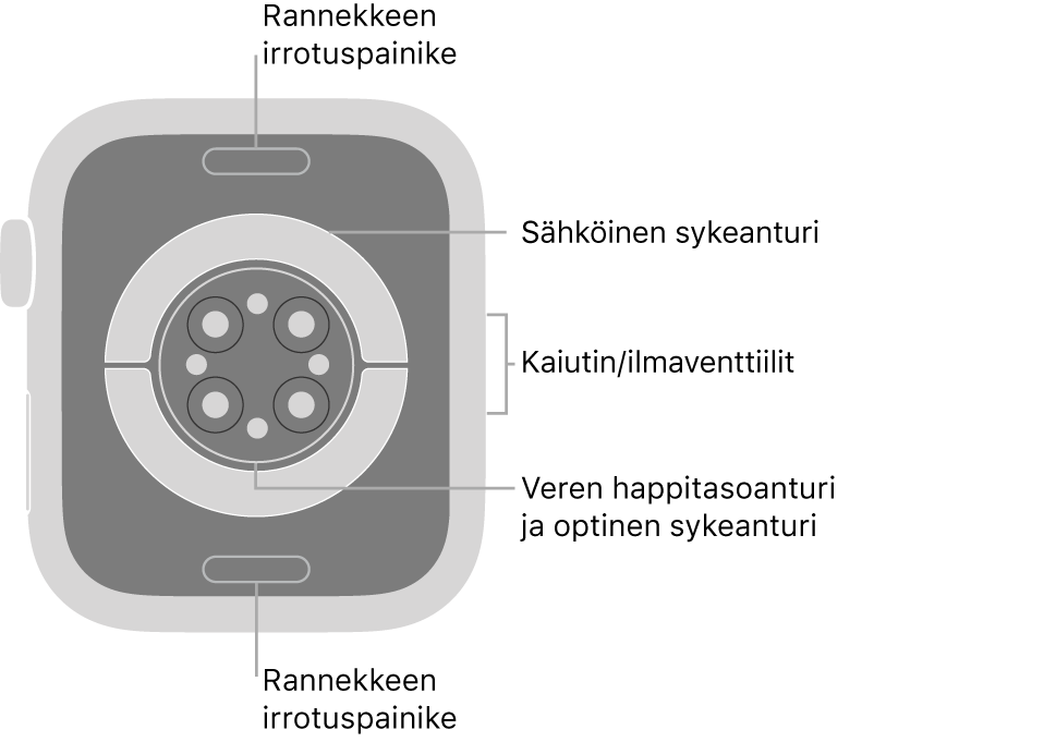Apple Watch Series 6:n takaosa, jossa on rannekkeen irrotuspainikkeet ylhäällä ja alhaalla, sähköiset sykeanturit, optiset sykeanturit ja veren happitason anturit keskellä sekä kaiutin/ilmastointiaukot sivulla.