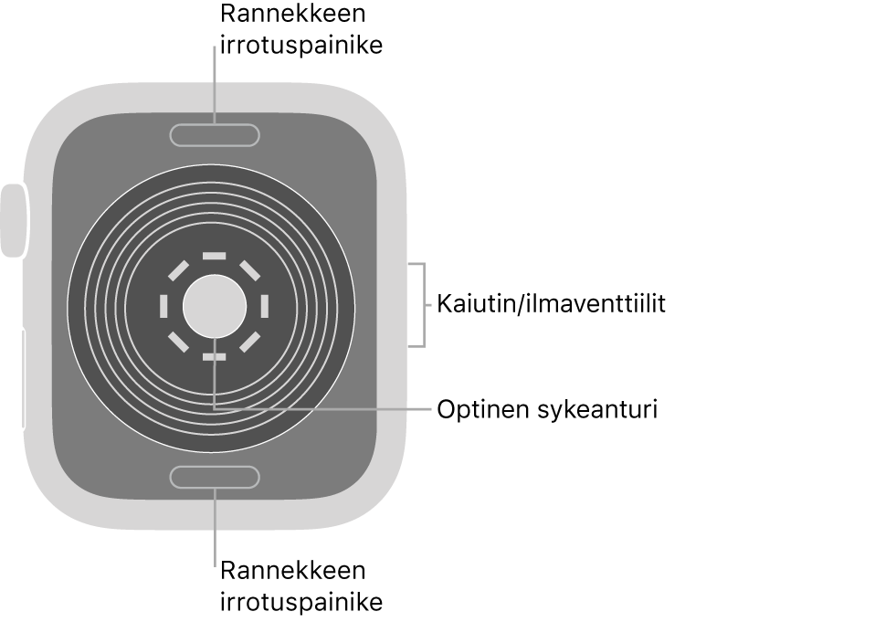 Apple Watch SE:n takaosa, jossa on rannekkeen irrotuspainikkeet ylhäällä ja alhaalla, optinen sykeanturi keskellä ja kaiutin/ilmastointiaukot sivulla.