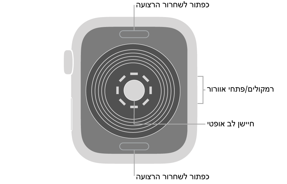 החלק האחורי של Apple Watch SE עם כפתורי שחרור הרצועה למעלה ולמטה, חיישן הדופק האופטי בחלק המרכזי והרמקול/פתחי האוורור בצד.