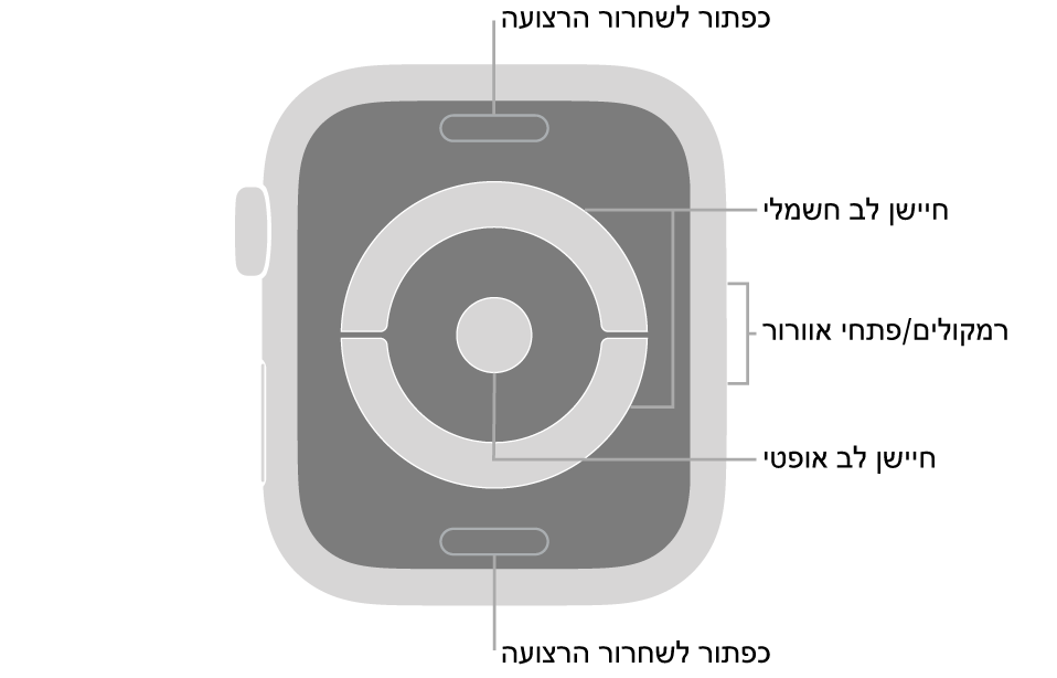 החלק האחורי של הדגמים Apple Watch Series 4 ו-Apple Watch Series 5 עם כפתורי שחרור הרצועה למעלה ולמטה, חיישני הדופק האלקטרוניים וחיישן הדופק האופטי בחלק המרכזי והרמקול/פתחי האוורור בצד של השעון.