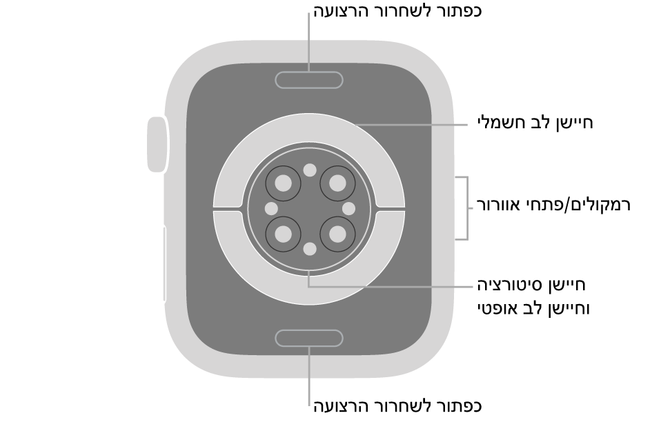 החלק האחורי של Apple Watch Series 6 עם כפתורי שחרור הרצועה למעלה ולמטה, חיישני הדופק האלקטרוניים, חיישני הדופק האופטיים וחיישני רמת החמצן בדם בחלק המרכזי והרמקול/פתחי האוורור בצד.