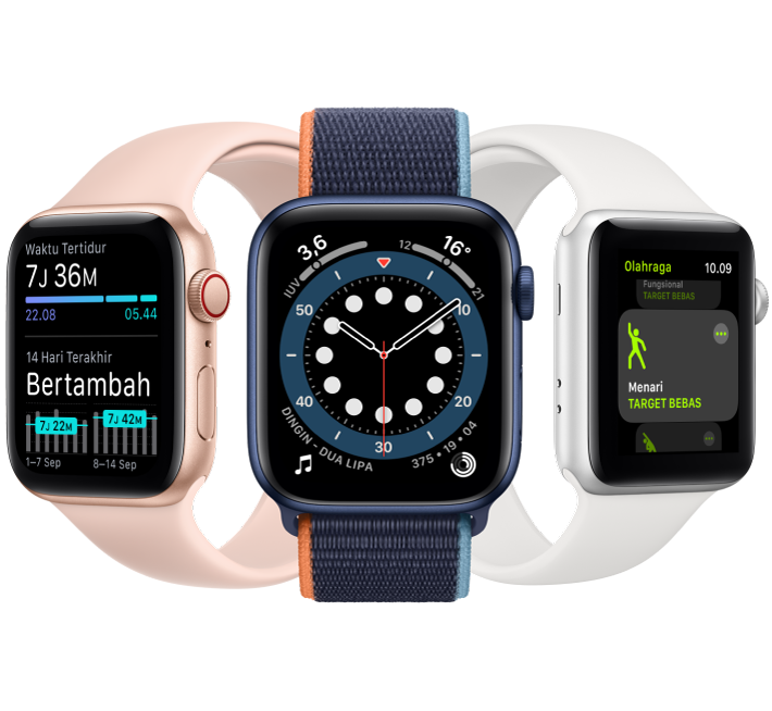 cara menggunakan apple watch series 3