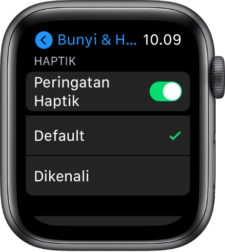 Peringatan Bunyi & Haptik di Apple Watch, dengan pengalih Peringatan Haptik, dan pilihan Default dan Dikenali di bawahnya.
