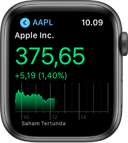Informasi mengenai saham di app Saham.