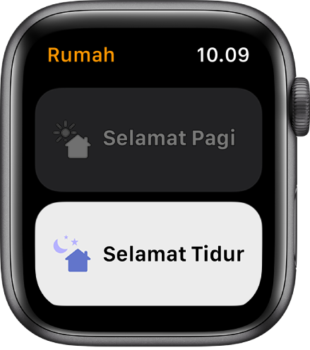 App Rumah di Apple Watch menampilkan dua skenario—Selamat Pagi dan Selamat Malam. Selamat Malam disorot.