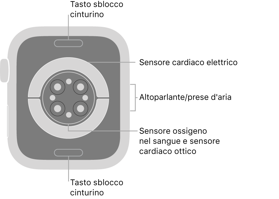 La parte posteriore di Apple Watch Series 6, con i pulsanti di sblocco del cinturino in alto e in basso, i sensori elettrici per il cuore, i sensori ottici per il cuore e i sensori per il livello di ossigeno nel sangue in mezzo, e l'altoparlante e i condotti di ventilazione sul lato.