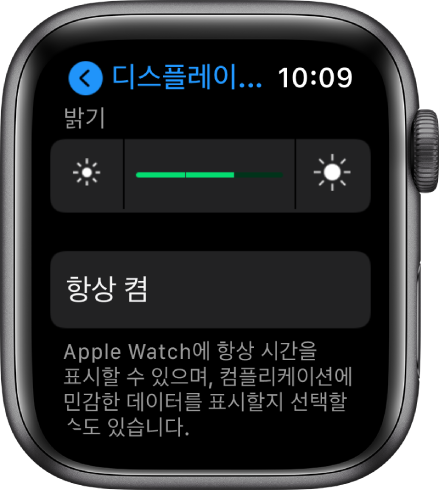 상단에 밝기 슬라이더와 아래에 항상 켬 버튼이 있는 Apple Watch의 밝기 설정.