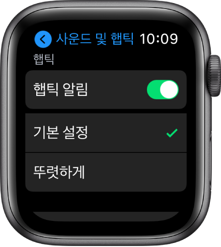 햅틱 알림 스위치가 있는 Apple Watch의 사운드 및 햅틱 설정, 그 아래에는 기본 설정 및 뚜렷하게 옵션이 있음.