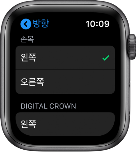Apple Watch 방향 화면. 손목 및 Digital Crown 환경설정을 설정할 수 있음.