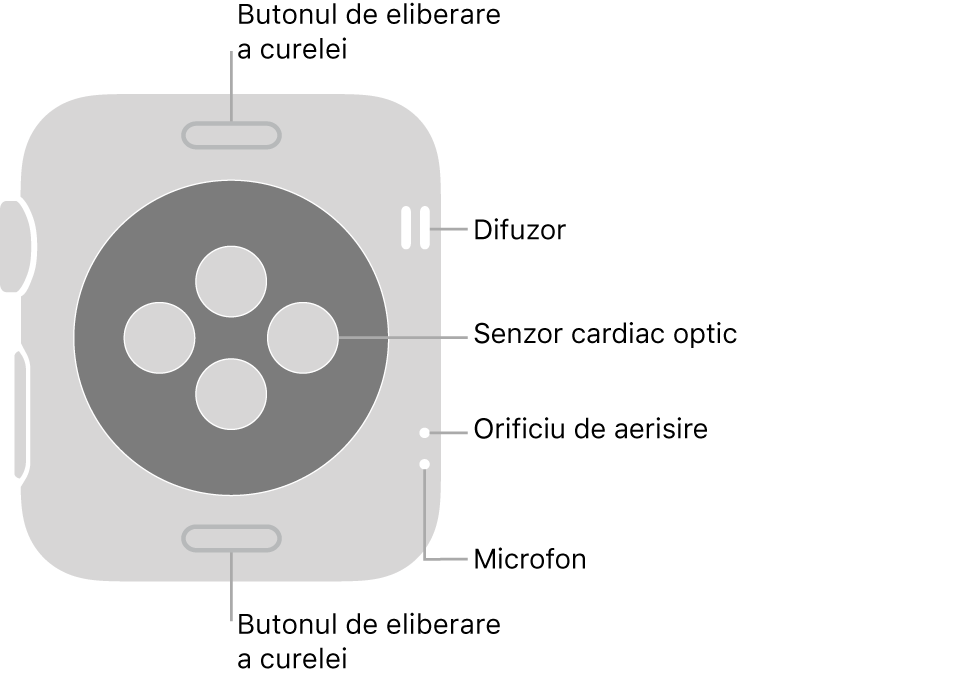 Spatele modelului Apple Watch Series 3, cu butoanele de eliberare a brățării în partea de sus și de jos, senzorii cardiaci optici în mijloc și difuzorul, orificiile de ventilare și microfonul de sus până jos, lângă partea laterală.