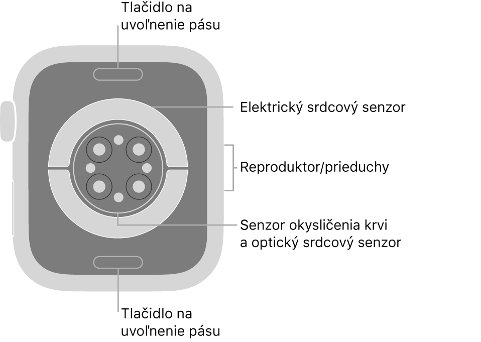 Zadná strana hodiniek Apple Watch Series 6. Navrchu a naspodku sa nachádzajú tlačidlá na uvoľnenie remienka. V strede sú umiestnené elektrické srdcové senzory, optické srdcové senzory a senzory saturácie kyslíkom a naboku reproduktor/prieduchy.