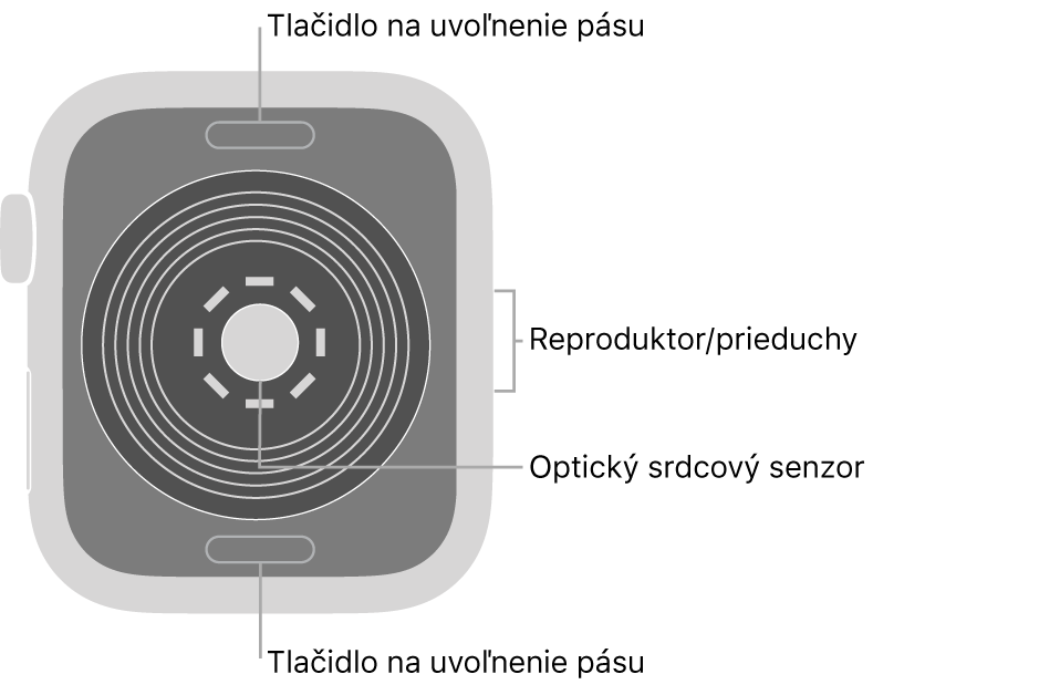 Zadná strana hodiniek Apple Watch SE. Navrchu a naspodku sa nachádzajú tlačidlá na uvoľnenie pásu. V strede je umiestnený optický srdcový senzor a naboku reproduktor/prieduchy.