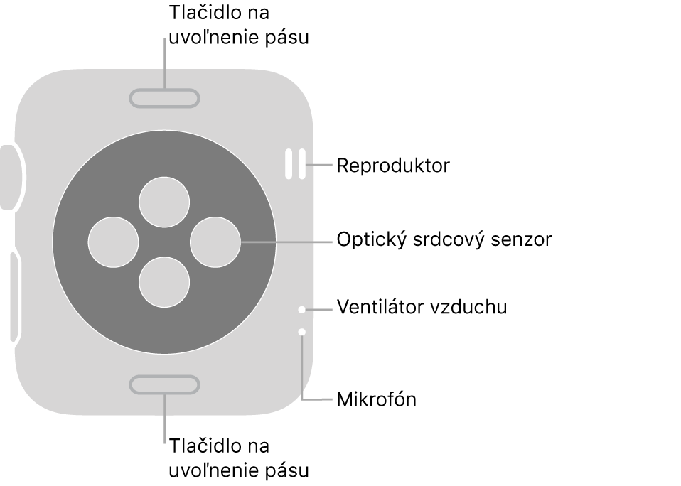 Zadná strana hodiniek Apple Watch Series 3. Navrchu a naspodku sa nachádzajú tlačidlá na uvoľnenie pásu. V strede sú umiestnené optické srdcové senzory a naboku zhora nadol sa nachádzajú reproduktor, prieduchy a mikrofón.