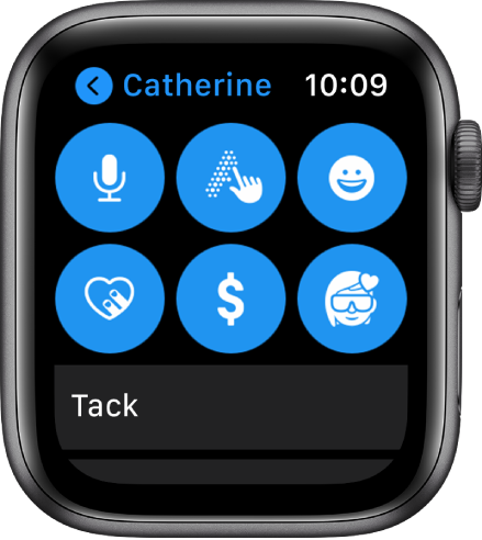 En skärm i Meddelanden med Apple Pay-knappen och knapparna Diktera, Handskrift, Emoji, Digital Touch och Memoji.
