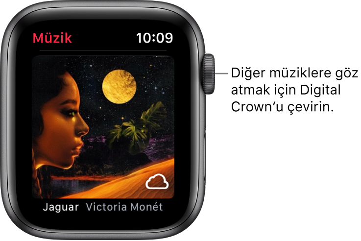 Müzik uygulamasında bir albümü ve resmini gösteren ekran.