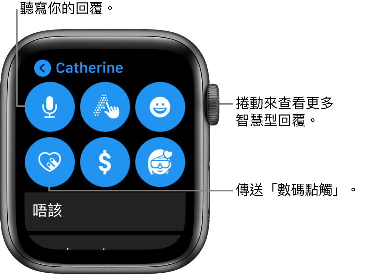 顯示「聽寫」、「隨手寫」、「表情符號」、「數碼點觸」、Apple Pay 以及 Memoji 按鈕的回覆畫面。其下方為智慧回覆。轉動數碼錶冠以查看更多智慧回覆。