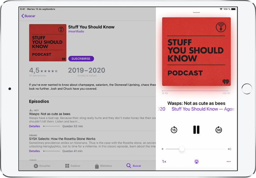 Una página de resultados de la búsqueda de podcasts ocupa toda la pantalla. En el lado derecho de la pantalla se reproduce un podcast y los controles de reproducción aparecen debajo de la imagen de portada del podcast.