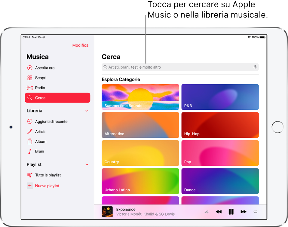 La schermata Cerca nella barra laterale, a sinistra, e la sezione Sfoglia a destra. La sezione “Sfoglia categorie” sotto mostra diverse categorie.