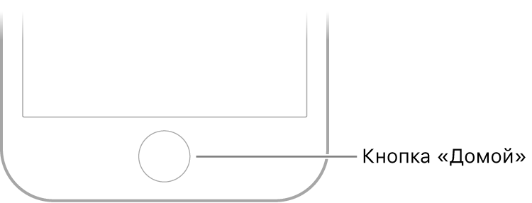 Не работает кнопка домой на айфоне 6 цена ремонта