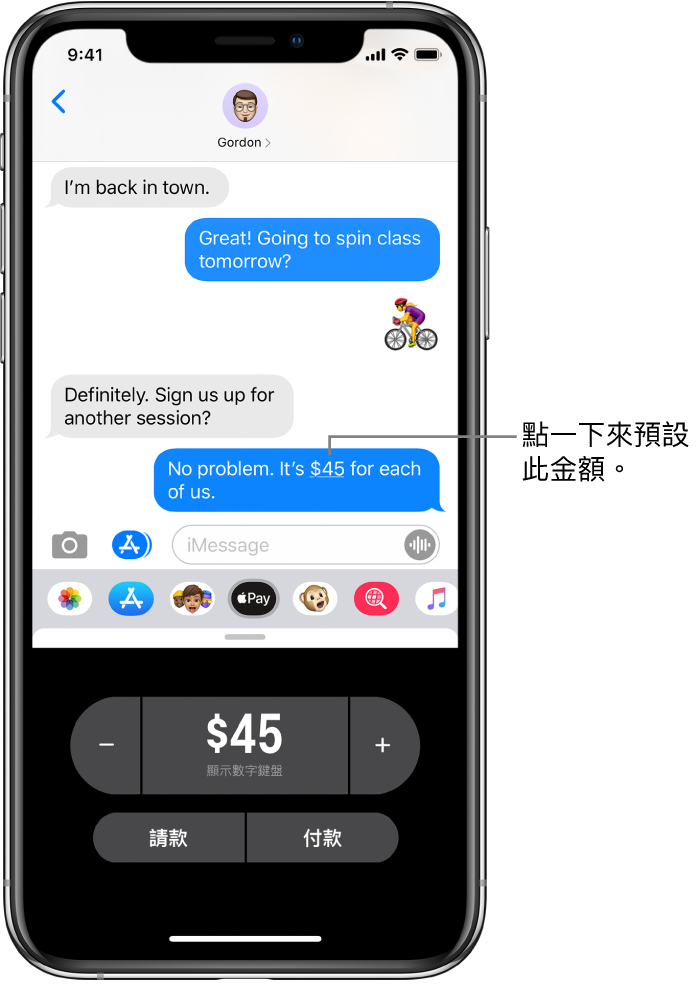 iMessage 對話底部顯示打開的 Apple Pay App。