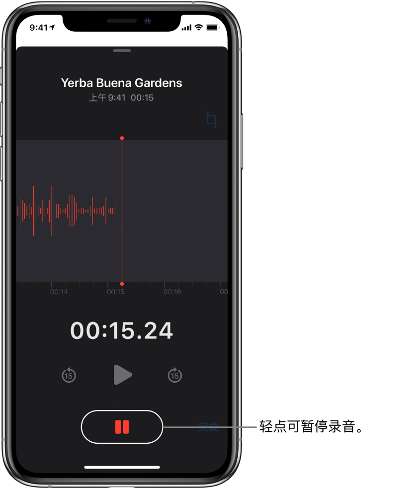 显示正在进行录音的“语音备忘录”屏幕,处于活跃状态的“暂停”按钮和变暗的播放、向前跳 15 秒钟和向后跳 15 秒钟控制。屏幕的主要部分显示正在进行的录音波形,以及时间指示器。