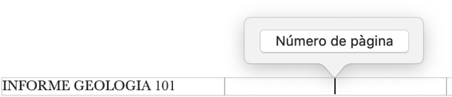 El botó “Número de pàgina” a sobre del peu de pàgina.
