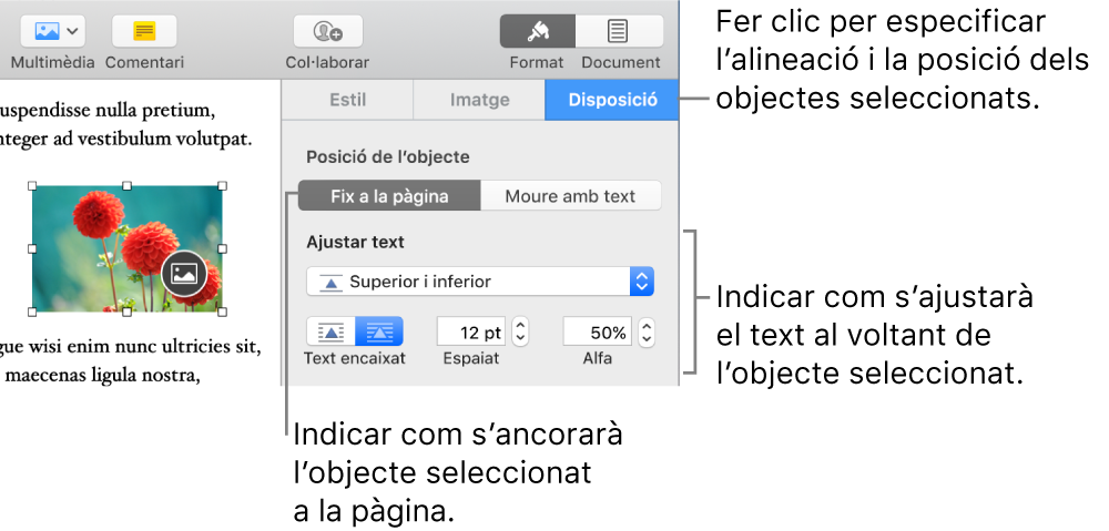 El menú Format, en què es mostra la barra lateral Disposició. Les opcions de “Posició de l’objecte” es mostren a la part superior de la barra lateral Disposició, amb les opcions d’“Ajustar text” a sota.