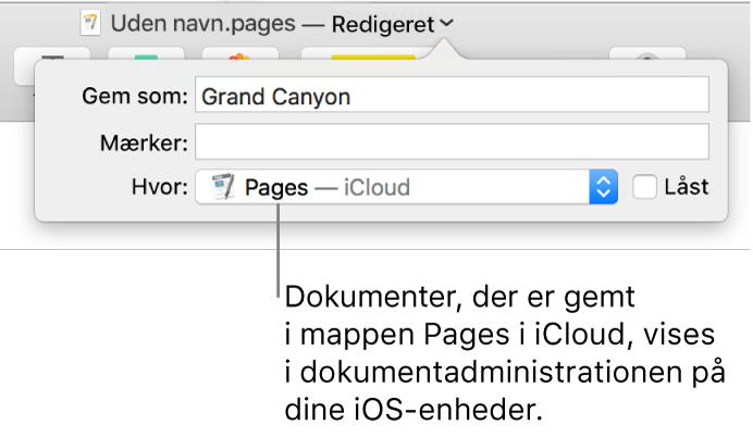 Dialogen Gem til et dokument med Pages – iCloud på lokalmenuen Hvor.