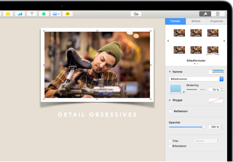 Betjeningsmulighederne til Format, der bruges til at ændre det valgte billedes størrelse og udseende. Knapperne Format, Billede og Organiser vises vandret over toppen af betjeningsmulighederne.