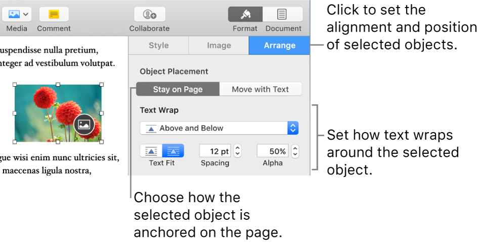 The Format menu with the Arrange sidebar displayed. The Object Placement settings are at the top of the Arrange sidebar with the Text Wrap settings below.