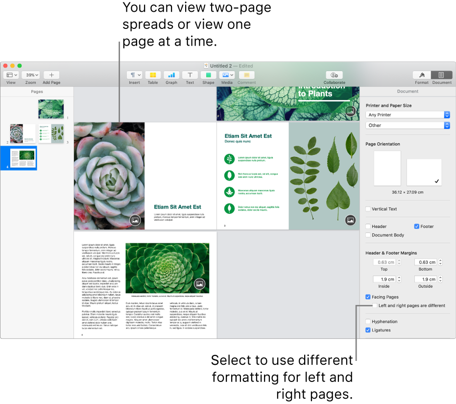 The Pages window with page thumbnails and document pages viewed as two-page spreads. In the Document sidebar on the right, the “Left and right pages are different” tick box is unselected.