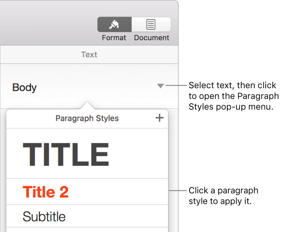 The Paragraph Styles menu.