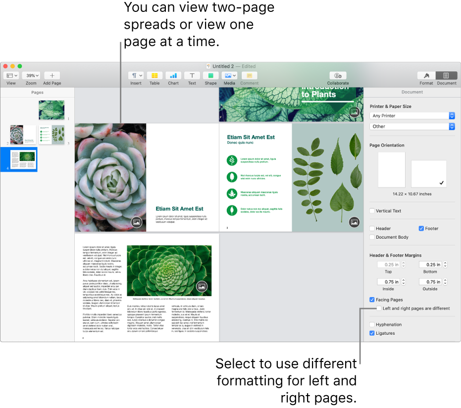 The Pages window with page thumbnails and document pages viewed as two-page spreads. In the Document sidebar on the right, the “Left and right pages are different” checkbox is unselected.