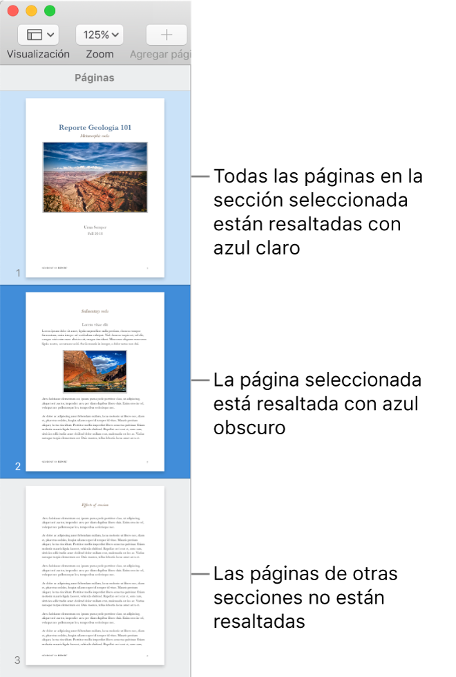 Barra lateral Visualización de miniaturas de página con la página seleccionada resaltada en azul oscuro, y todas las páginas de la sección seleccionada resaltadas en azul claro.