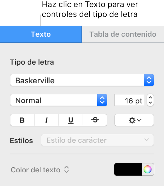 La barra lateral Formato con la pestaña Texto seleccionada y controles para cambiar el tipo de letra, el tamaño del texto o el estilo de los caracteres.