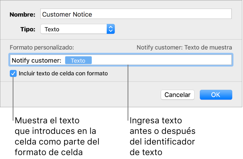 La ventana de formato de celda personalizado con controles para seleccionar formatos de texto personalizados.