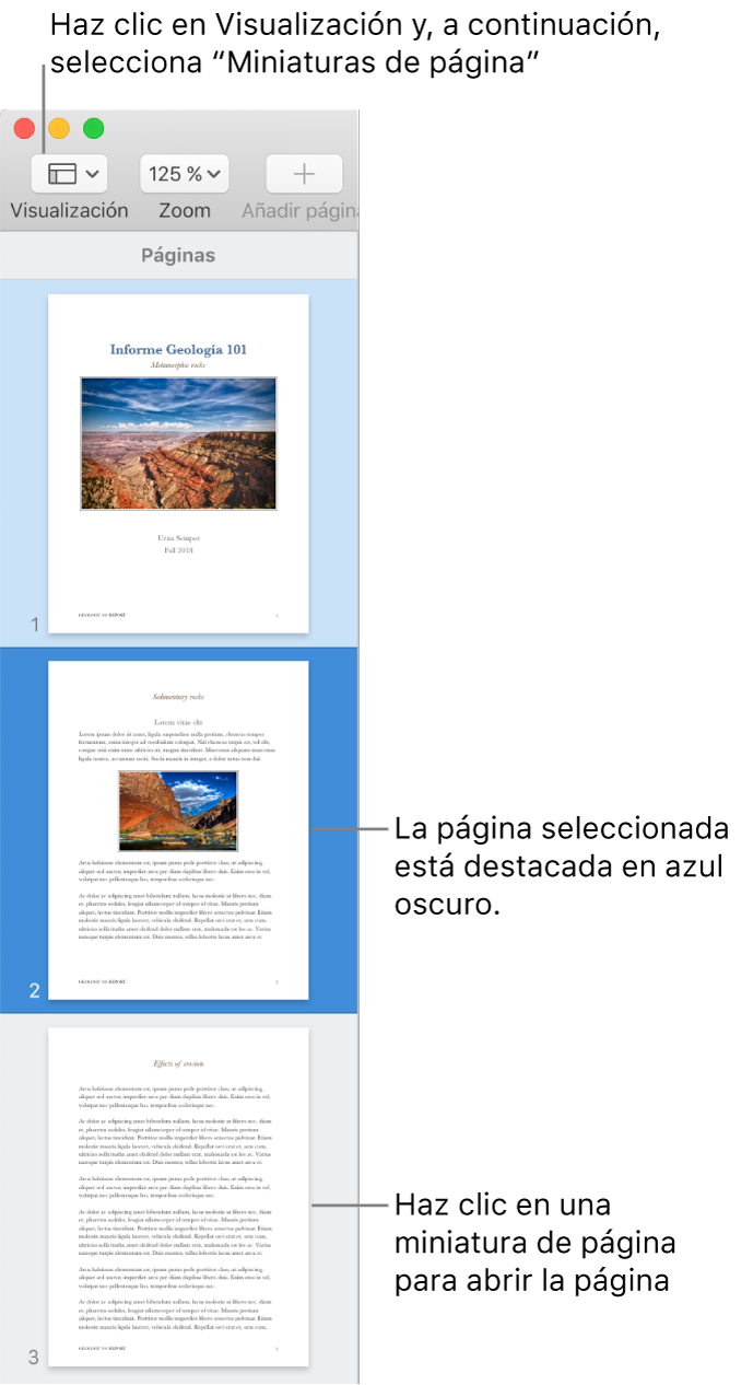 La barra lateral en el lado izquierdo de la ventana de Pages con la visualización de miniaturas de página abierta y una página seleccionada resaltada en azul oscuro.