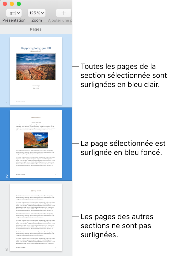 La barre latérale de la présentation en vignettes avec la page sélectionnée en surbrillance bleu foncé et toutes les pages de la section sélectionnée en surbrillance bleu clair.