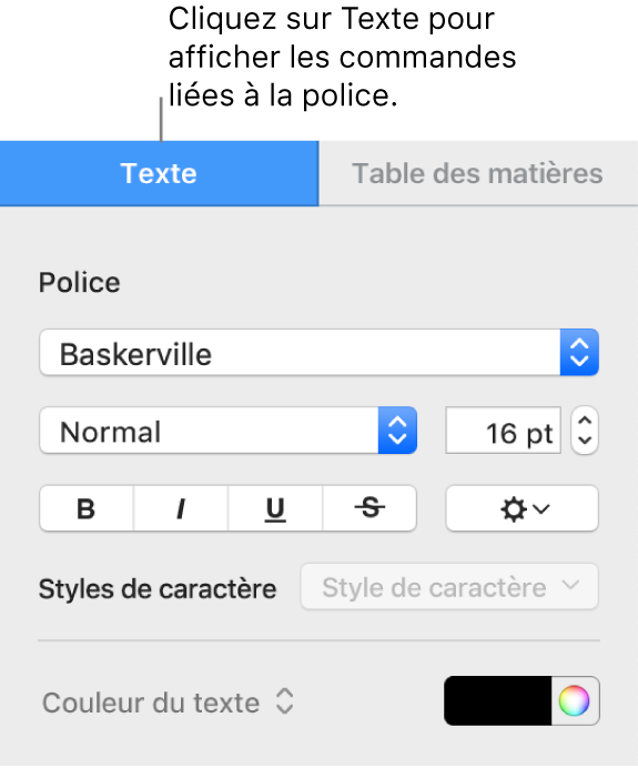 Barre latérale Format avec l’onglet Texte sélectionné et les commandes de police qui permettent de modifier la police et la taille de police, ainsi que d’ajouter des styles de caractère.